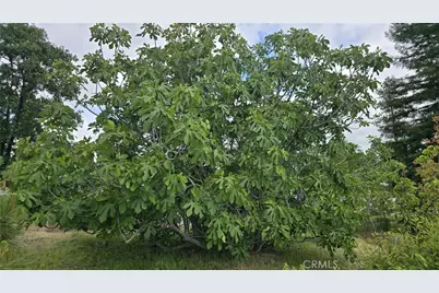 5720 Round Tree, Paradise, CA 95969 - Photo 26