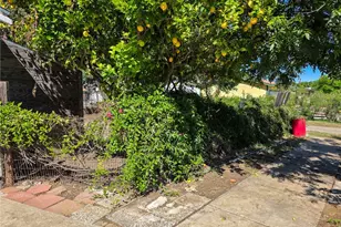 350 S Plumas St, Willows, CA 95988 - Photo 30