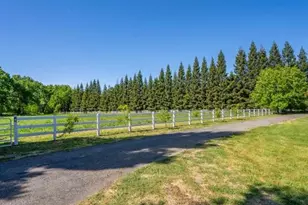 25179 68th Ave, Los Olivos, CA 96055 - Photo 52