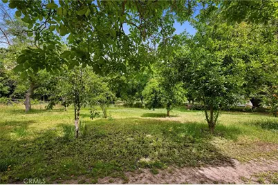 7012 State Highway 32, Orland, CA 95963 - Photo 40