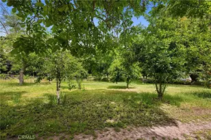 7012 State Hwy 32, Orland, CA 95963 - Photo 40