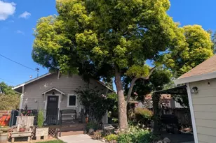 451 S Plumas St, Willows, CA 95988 - Photo 42