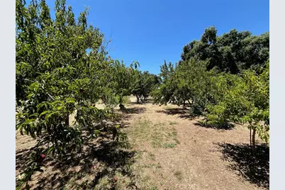 9761 Lott Road, Durham, CA 95938 - Photo 62
