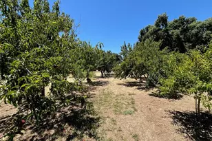 9761 Lott Rd, Durham, CA 95938 - Photo 62