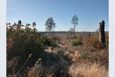 67 Pentz Road, Paradise, CA 95969 - Photo 12