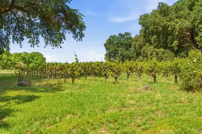 9345 Stanford Lane, Durham, CA 95938 - Photo 60