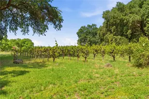 9345 Stanford Ln, Durham, CA 95938 - Photo 60