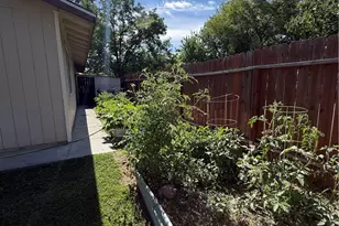 1490 Pine St, Orland, CA 95963 - Photo 36