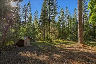 3353 Forbestown, Oroville, CA 95966 - Photo 22