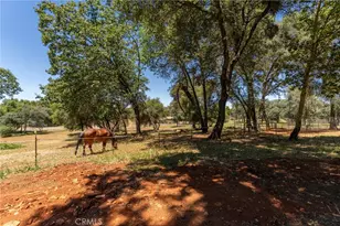 3463 Cherokee Rd, Oroville, CA 95965 - Photo 28