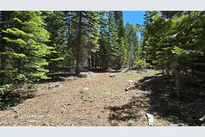 0 Fish Creek, Inskip, CA 95966 - Photo 40