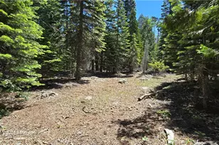 0 Fish Creek, Inskip, CA 95966 - Photo 40