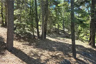 0 Fish Creek, Inskip, CA 95966 - Photo 24