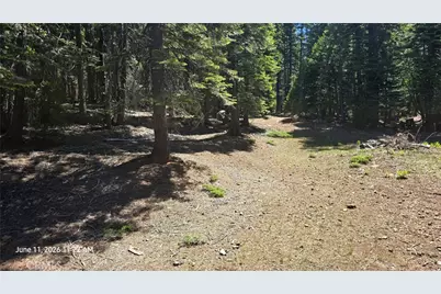0 Fish Creek, Inskip, CA 95966 - Photo 42
