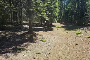 0 Fish Creek, Inskip, CA 95966 - Photo 42