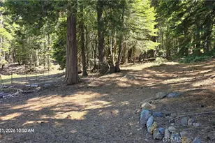 0 Fish Creek, Inskip, CA 95966 - Photo 26
