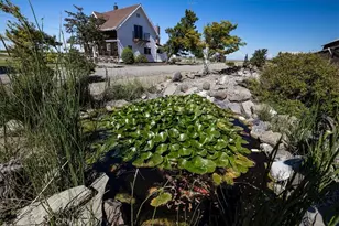 1762 Co Rd R, Willows, CA 95988 - Photo 40