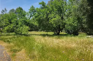 105 Pinedale Ave, Oroville, CA 95966 - Photo 16