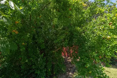 1670 Alma, Oroville, CA 95965 - Photo 34