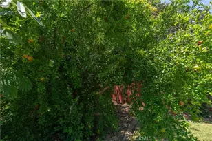 1670 Alma, Oroville, CA 95965 - Photo 34
