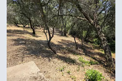 245 La Mirada, Oroville, CA 95966 - Photo 38