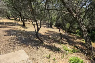 245 La Mirada, Oroville, CA 95966 - Photo 38