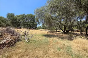 245 La Mirada, Oroville, CA 95966 - Photo 42