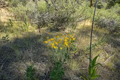1 Duzel Creek Road, Fort Jones, CA 96032 - Photo 12