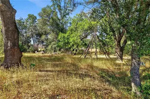 804 Craig Access Rd, Oroville, CA 95966 - Photo 10