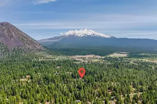 521 Pony Trail, Mount Shasta, CA 96067 - Photo 34
