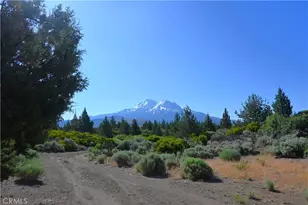 7021 Quarry Rd, Weed, CA 96094 - Photo 12