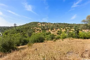 175 Stoney Oaks Loop, Bangor, CA 95914 - Photo 28