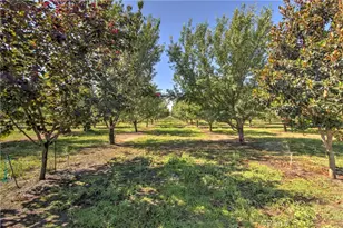 8176 County Road 44, Glenn, CA 95943 - Photo 52
