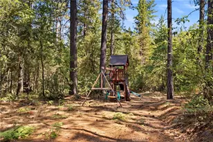 13081 Doe Mill Rd, Magalia, CA 95954 - Photo 24