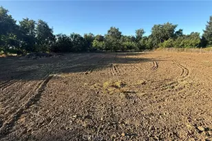 707 Justeson, Gridley, CA 95948 - Photo 4