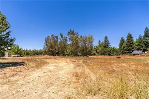 2017 Co Rd J, Willows, CA 95988 - Photo 48