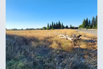 6150 County Road 200, Orland, CA 95963 - Photo 4