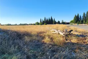 6150 Co Rd 200, Orland, CA 95963 - Photo 4