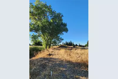 6150 County Road 200, Orland, CA 95963 - Photo 8