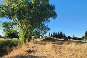 6150 Co Rd 200, Orland, CA 95963 - Photo 8
