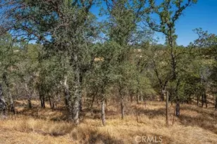 18710 Saddleback Ridge Rd, Cottonwood, CA 96022 - Photo 42