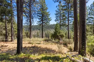 14808 Goldcone, Magalia, CA 95954 - Photo 20