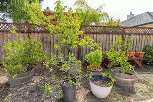 1464 Lucy, Chico, CA 95973 - Photo 40