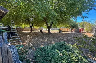 117 Sierra St, Willows, CA 95988 - Photo 22