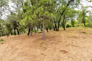 13411 Bean Flat, Chico, CA 95928 - Photo 64