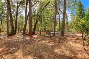 14212 Wycliff, Magalia, CA 95954 - Photo 32