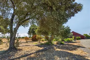 6838 Co Rd 18, Orland, CA 95963 - Photo 68