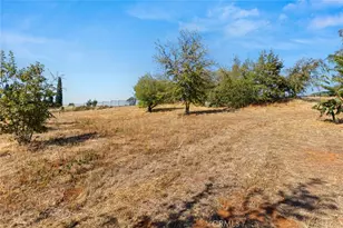 3984 Neal Rd, Paradise, CA 95969 - Photo 48