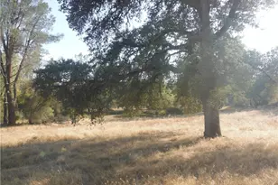 219 Self, Oroville, CA 95966 - Photo 32