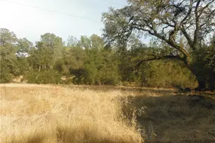 219 Self, Oroville, CA 95966 - Photo 28